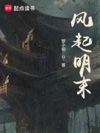 风起明朝大结局