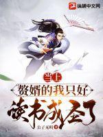当上赘婿的我只好读书成圣了角色