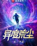 异度荒尘精校版TXT