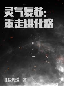 终极进化者