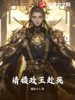 摄政王请接招