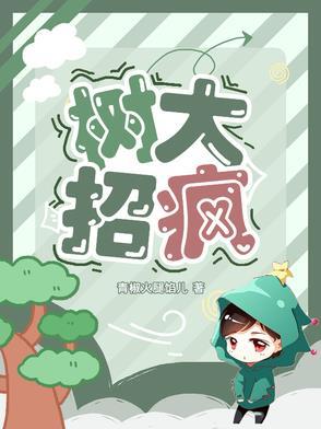 树大招风最后