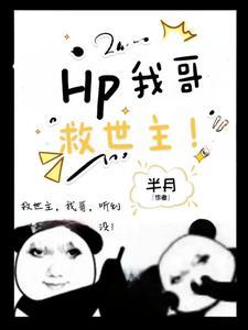 hp在霍格沃茨读书的日子