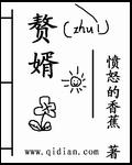 赘婿电视剧