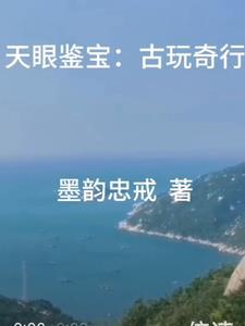 古玩界天眼争夺